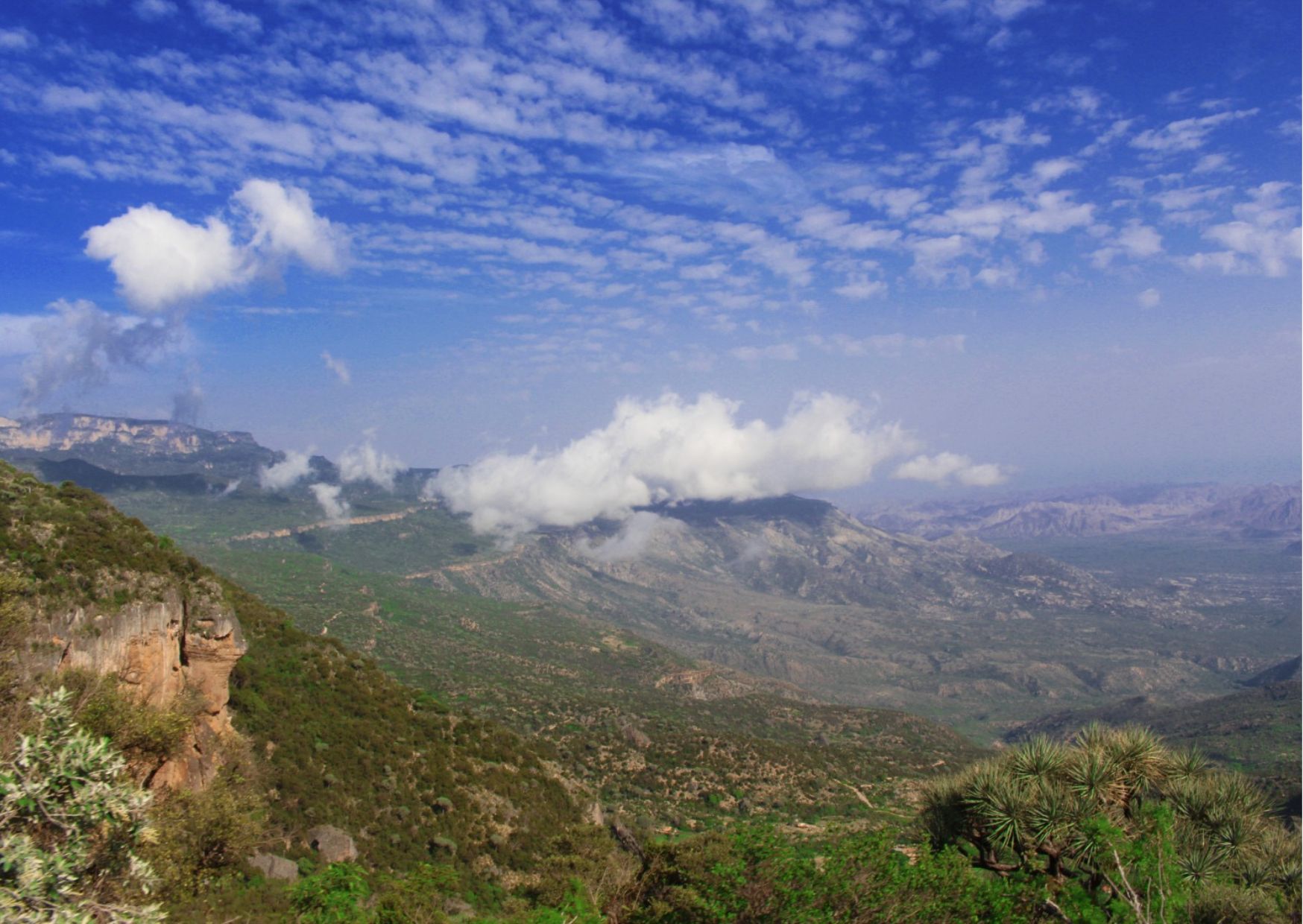 Where the Mountains Touch the Clouds: Discovering Mount Shimbiris and the Daallo Forest of Somaliland