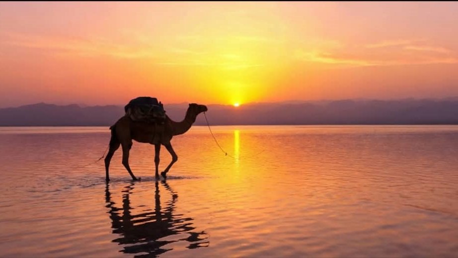 Discover Somaliland: 5-Day Cultural & Coastal Adventure