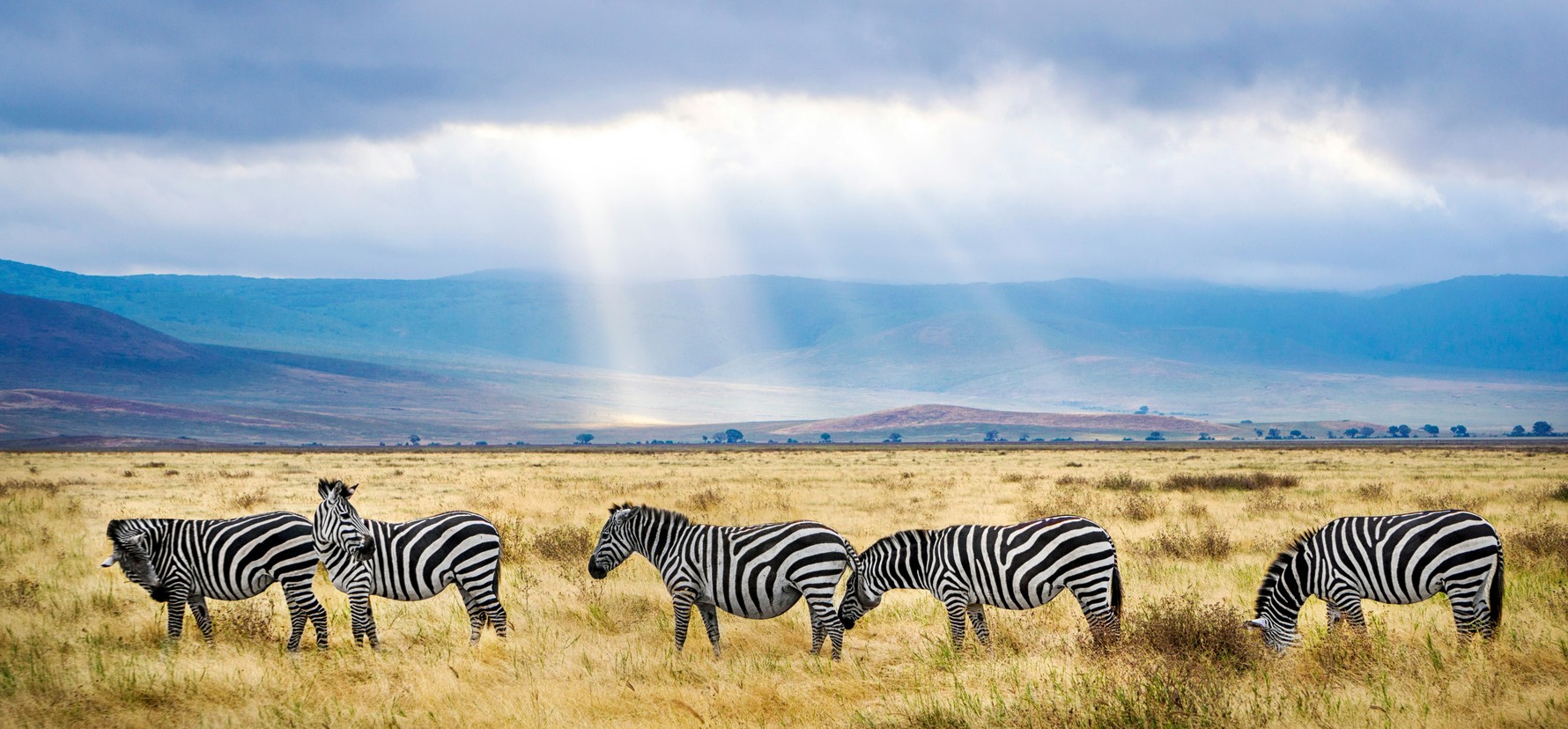 Tanzania