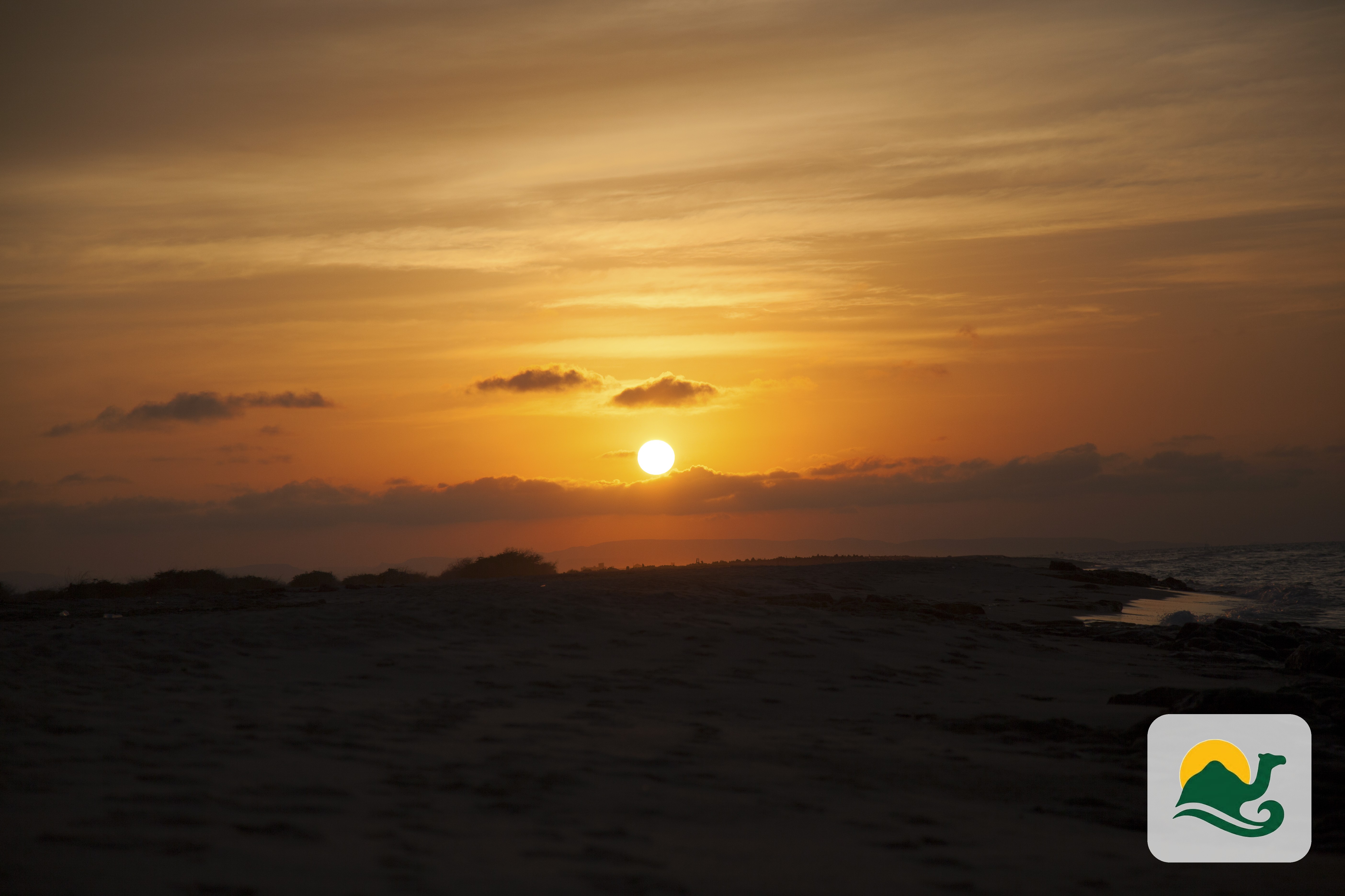 Somaliland in Two Days: Ancient Art, Mountain Roads & the Gulf of Aden