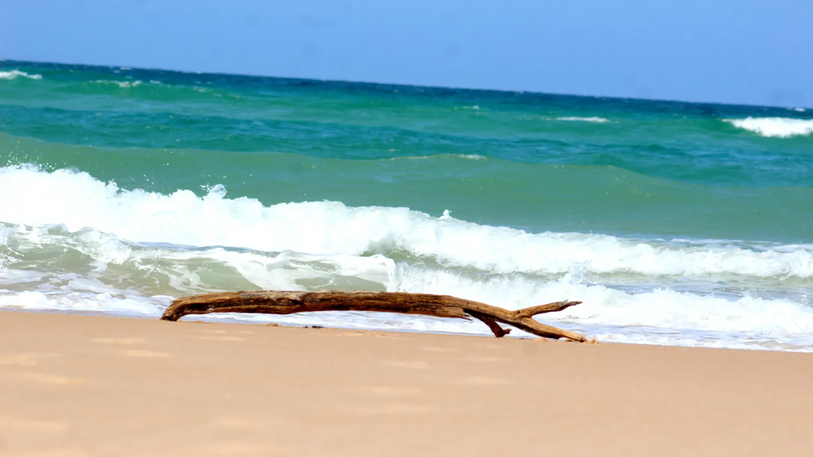 7Day-Explore Somaliland – Where Ancient History Meets Untamed Adventure
