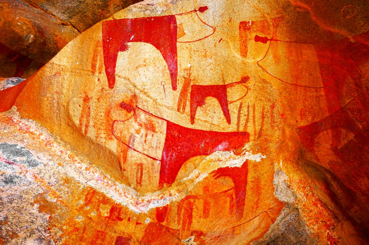 The Ultimate Somaliland Day Tour: Laas Geel Rock Art, Cheetahs & Hargeisa Culture