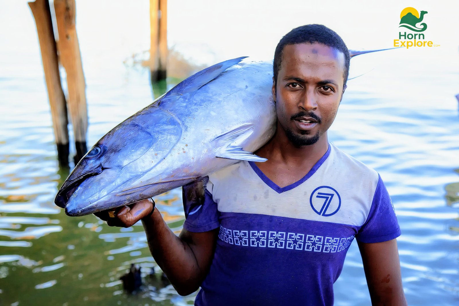 Explore Hargeisa, Laas Geel & Berbera in 2 Days – Group Deal Savings!