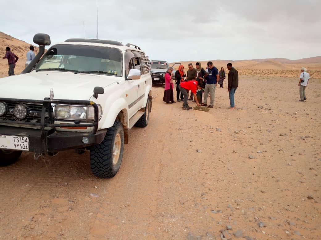 Desert Expedition Stopover – a durable 4x4 vehicle well-suited for desert and off-road expeditions.