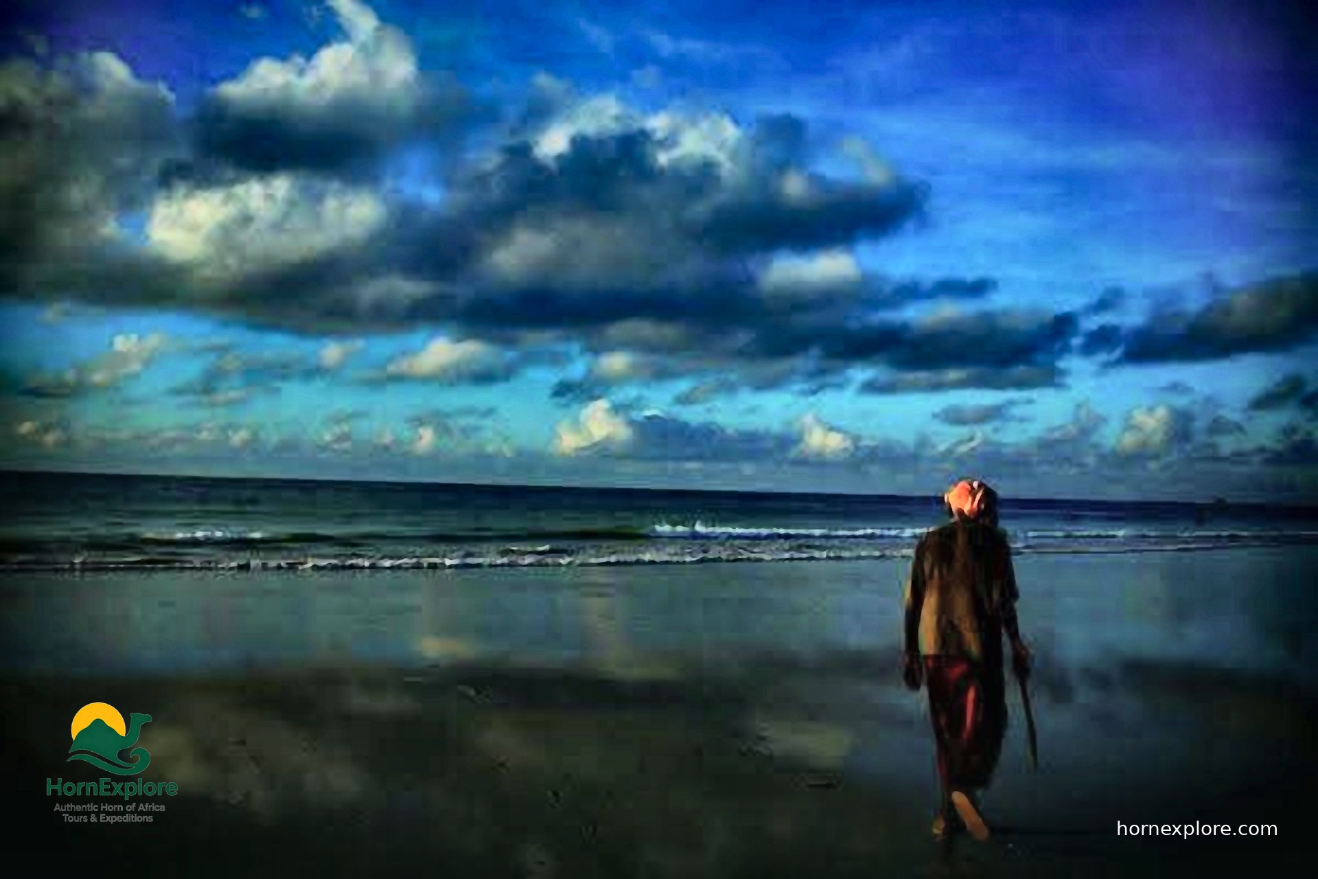 Somalia e-Visa (eTAS) – Sponsored Application